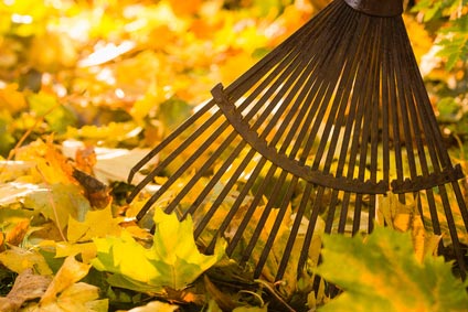 service d'entretien des espaces verts sur Carcassonne - ramassage des feuilles mortes